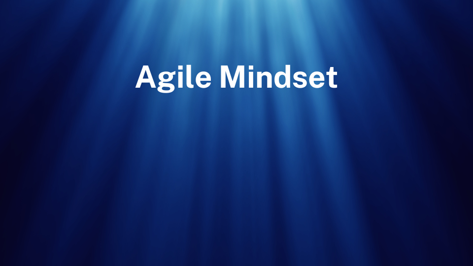 Agile Mindset