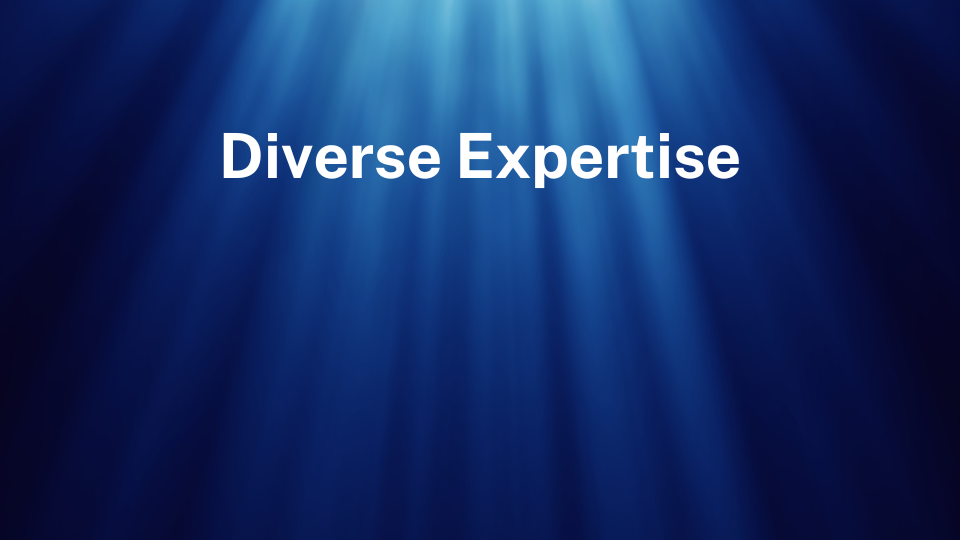 Diverse Expertise